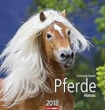 Pferde - Kalender 2018 by