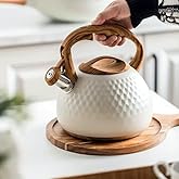 Valkyrie Modern Tasarım D&uuml;d&uuml;kl&uuml; Kettle 3L Paslanmaz &Ccedil;elik Ergonomik Su Isıtıcı &Ccedil;aydanlık Islıklı