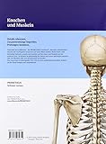 Image de PROMETHEUS LernPoster der Anatomie, Knochen und Muskeln