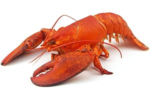 LONDON GROCERY Frozen Cooked American Lobster ~350-400gr x 2