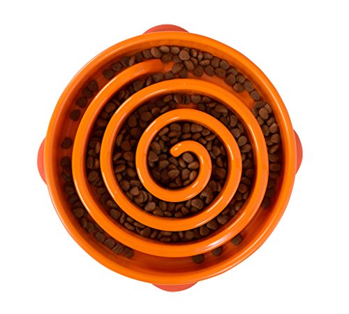 Outward Hound Comedero Lento para Perros Slo Bowl Gota Cerceta 1578 Plástico
