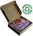 Waterproof Silicone Baby Bibs - Wide Food Crumb Catcher Pocket - Easy Roll-Up Wipes Clean & Quick Drying - Soft & Comfortable for Your Toddler - 2 Pack Pink & Purple - Door Slam Guard Included