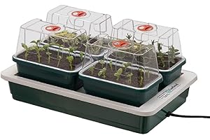Garland Propagateur électrique pour semis et plantes