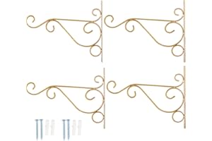 JENNGAOO 4-pak wiszący uchwyt na rośliny, żelazny hak ścienny wieszak na rośliny uchwyt do karmników dla ptaków, sadzarki, lampiony wewnątrz na zewnątrz dom ogród dekoracja 25 x 20 cm (złoty)