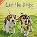 Wegler Little Dogs Broschurkalender - Kalender 2019 by 
