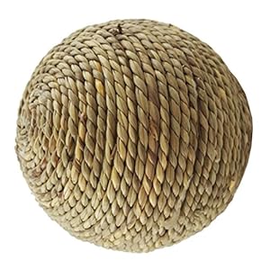 UKCOCO Bola de Hierba Natural Tejida a Mano, Pelota Juguetes para Conejos Conejillo de Indias Animales Pequeños