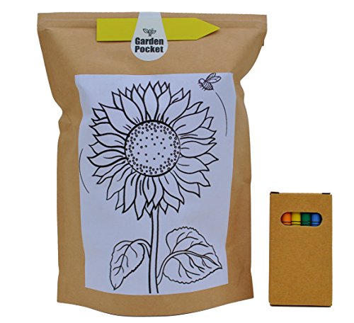 Kit Educo Girasol