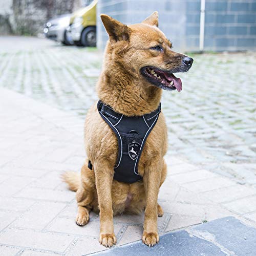 PUREBOX Hundegeschirr, verhindert Zerren Vorne Range Komfort Geschirr Vier Punkte der Anpassung, Hundegeschirr 3 m Reflektierende Oxford Material, Einfache Kontrolle, M, Schwarz