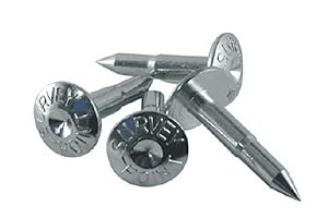 XGAGHB Clavos topográficos 5,5 cm - Paquete 100 unidades