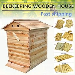 Hengyuanyi Maison en Bois Automatique en Forme de Ruche 7p Cadre en Forme de Ruche en Bois pour Abeilles et équipement pour Apiculture