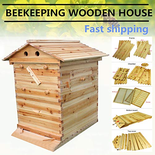 Hengyuanyi Maison en Bois Automatique en Forme de Ruche 7p Cadre en Forme de Ruche en Bois pour Abeilles et équipement pour Apiculture
