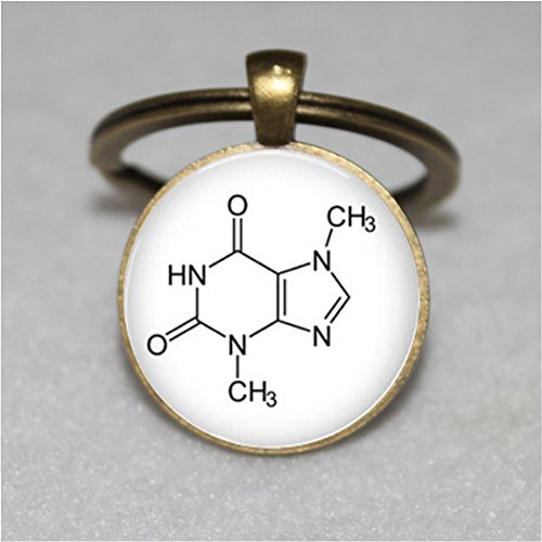 Preisvergleich Produktbild Chemie Jewelry - Messing Biochemie Schlüsselanhänger - Schokolade Molekül - Theobromin Schlüsselanhänger, Biologie, Chemie Schlüssel Kette