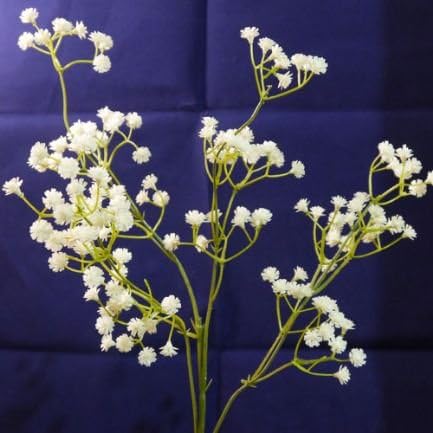 Artificial Plastic GYPSOPHILA Wedding / Home Spray - Cream - 60cm