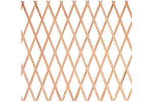 GDLC Traliccio Estensibile in Legno Dimensioni 100x200 Cm.