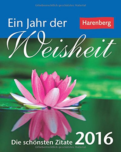 Ein Jahr der Weisheit 2016: Die schönsten Zitate