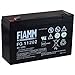 Price comparison product image FIAMM replacement battery for Scooter wheel chairs, electric scooter, Elektrofahrzeug 6V 12Ah (surrogates 10Ah), 6V, Lead-Acid