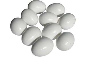 BTV 10 Nesteier groß für Hühner - Enten - Gänse - Puten aus schwerem Kunststoff