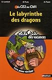 Image de ENIGME VAC CE2 AU CM1 LABYRINT