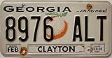 Material aus Metall USA Nummernschild GEORGIA ~ US Kennzeichen Pfirsich Motiv ~ Blechschild