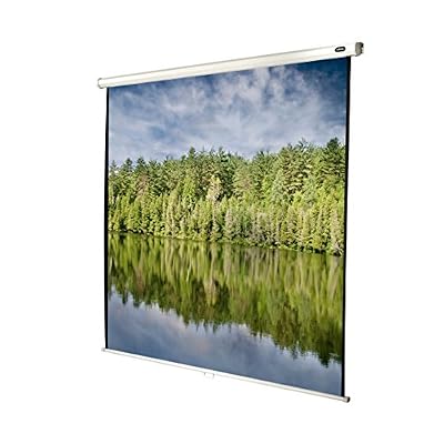 celexon economy manual screen écran de projection - 100 po (255 cm)