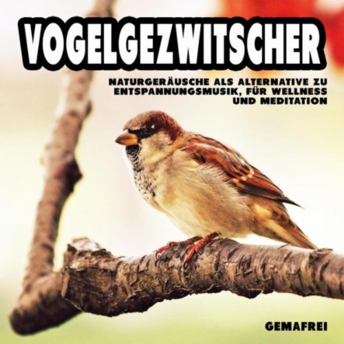 Vogelstimmen am Waldbach - Vogelgezwitscher zur Entspannung, für ...