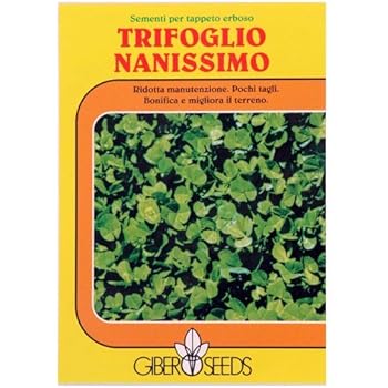 Semi Di Trifoglio Nano Repens ZollaVerde – Bottos 500gr Per Prato Folto