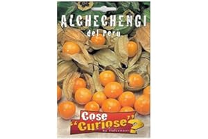 FLORIANA-BULBOSE Semi - Alchechengi (Physalis alkekengi)