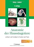 Image de Anatomie der Haussäugetiere