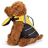 Schwimmhilfe für Hunde