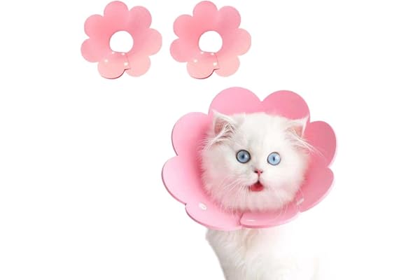 crazy bean 2 Pièces Collerette pour Chat Chien Réglable Colliers Élisabéthains pour Animaux Anti-Morsure Protecteur de Cône Collerettes de Compagnie Récupération,M,Rose