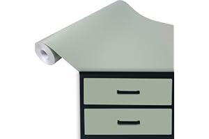 DecoMeister Vinilo Adhesivo para Pared Muebles Verde Pálido Mate Papel Autoadhesivo para Cocina Vinilos de PVC Lámina Decorativa Unicolor Película para Forrar En Rollo 45 x 100 cm por Metros