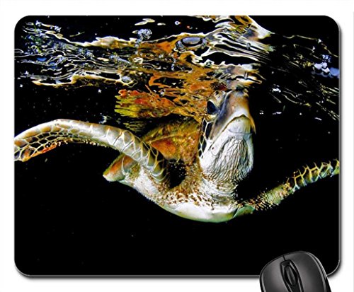 Preisvergleich Produktbild TARTARUGA Mouse Pad, Mousepad (Fish Mouse Pad)