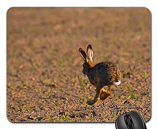 Preisvergleich Produktbild Running Rabbit Mouse Pad, Mousepad