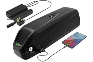 WR-TEAM R TEAM Ebike Battery 48v 13AH with Charger, USB Port, Lithium Electric Bike Battery for 1000W 750W 500W 250W Motor (Bafang, AW, most ebike conversion kit)