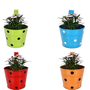 TrustBasket Set of 4 - Single Plant Railing planters - Dotted Blue, Orange,Red,Green