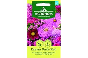 AGRONOM TESTED IN THE GARDEN AGRONOM | DREAM MEZCLA DE FLORES ROSAS-ROJAS a partir de semillas | Semillas de flores | 1 paquete