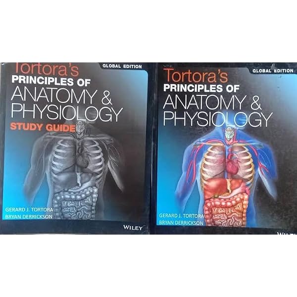 Tortora's Principles of Anatomy and Physiology