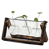  Cristal flor macetas, lineeubea diseño de maceta macetero recipiente maceta macetas para ventana decoración para el hogar, con madera accesorio de, Three pots