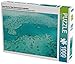 Produktbild Great Barrier Reef Queensland Australien 1000 Teile Puzzle quer (CALVENDO Natur)