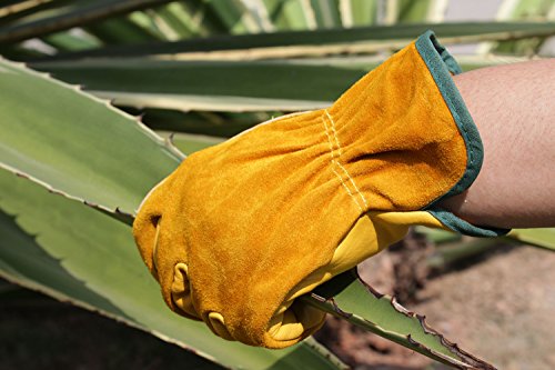 OZERO Arbeitshandschuhe , Echtleder Gartenhandschuhe mit Elastik Handgelenk für Männer & Frauen – Langlebig und Schweißabsorbierend für den Einsatz in der Motorrad Industrie Bau Garten Training Sport – Gelb Leder Handschuhe 1 Paar (M) - 4