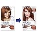 Clairol Nice 'n Easy Permanent Hair Colour - 110 Natural Light Auburn