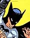 Batman - The Complete History: The Life and Times of the Dark Knight by 