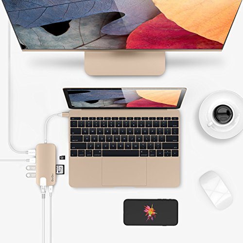 USB C Hub QacQoc USB C Adapter mit Typ C Ladeanschluss, HDMI Port, Gigabit LAN, SD-Kartenleser, Micro SD-Kartenleser, 3 USB 3.0 Port für Typ C Geräte wie MacBook, MacBook Pro, Google Chromebook (Gold) - 6