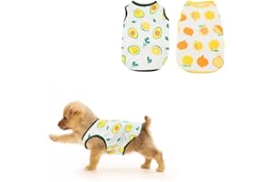 JODSEN 2 Stück Hundeshirts, Atmungsaktives Welpen Hunde Shirts mit Obstmustern, Sommer Hundekleidung, Weiche Haustier Westen Kleidung, Haustierbekleidung für Kleine Mittlere Jungen Mädchen Hund Katze (M)