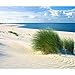 Produktbild decomonkey Fototapete selbstklebend Strand 294x210 cm XL Selbstklebende Tapeten Wand Fototapeten Tapete Wandtapete klebend Klebefolie Meer Sonne Natur Landschaft