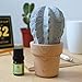 Produktbild Decoured kein Parfüm Perfume Aromatherapy Diffuser Zusätzlich zu den Duft von Indoor Dekorationen