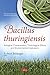 Produktbild Bacillus thuringiensis: Biological Characteristics, Toxicological Effects & Environmental Implications (Pesticides, Bacteria and Microorganisms)