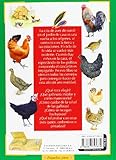 Image de La Cría De Gallinas (Pequeñas Joyas)