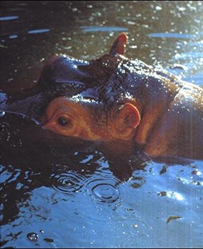 couverture de : Sichtbare welt.Peter Fischli, David Weiss.