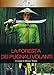 La Foresta Dei Pugnali Volanti (Special Edition) (2 Dvd)
